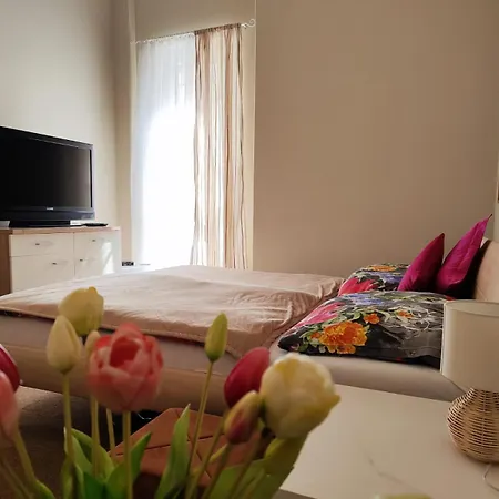 Golden X Cross Apartment Karlovy Vary Room photo