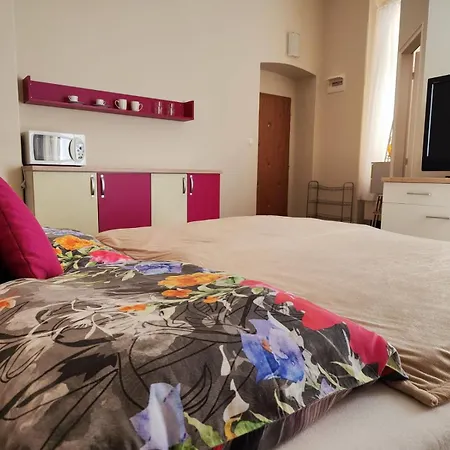 Golden X Cross Apartment Karlovy Vary Room photo